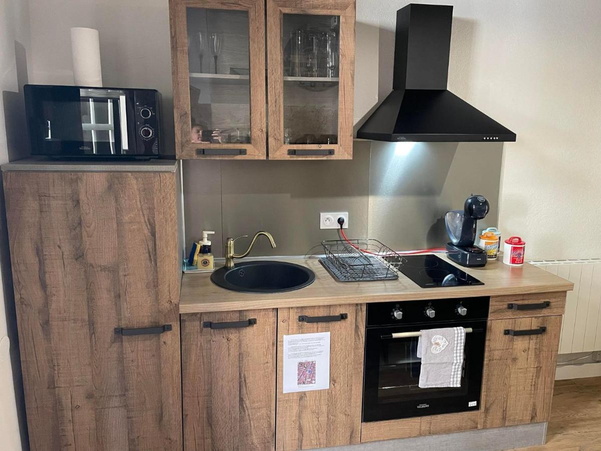 Le Petit Duc Apartment Dijon Bagian luar foto